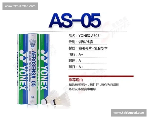 从业余到职业全面解析羽毛球比赛级别体系与晋级路径规则与标准