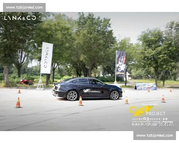 年度双人赛车对决燃情赛道协作与速度并存的巅峰冠军争霸战