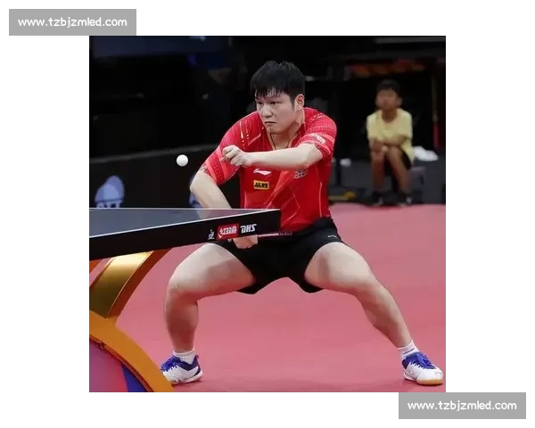 张君龙比赛视频深度解析展现力量技巧与赛场统治力全程高能精彩瞬间回顾