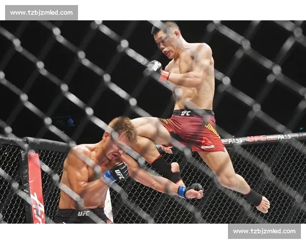 李景亮在最新UFC比赛中精彩表现 战胜对手展现中国拳手实力