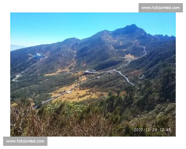 奥运会跆拳道赛场风云与技战术博弈全景解析精神传承与新时代竞技魅力