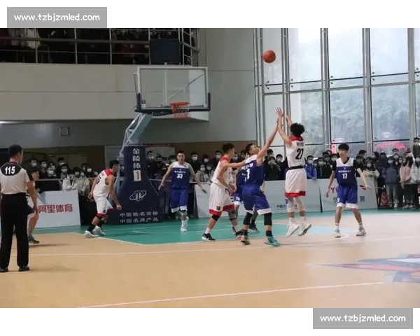 辽宁篮球比赛直播全景解析赛程看点与球队动态追踪精彩瞬间战术深度剖析