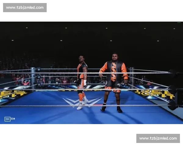 重温WWE经典比赛视频盘点擂台传奇瞬间与永恒对决荣耀史诗